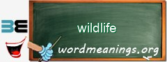 WordMeaning blackboard for wildlife